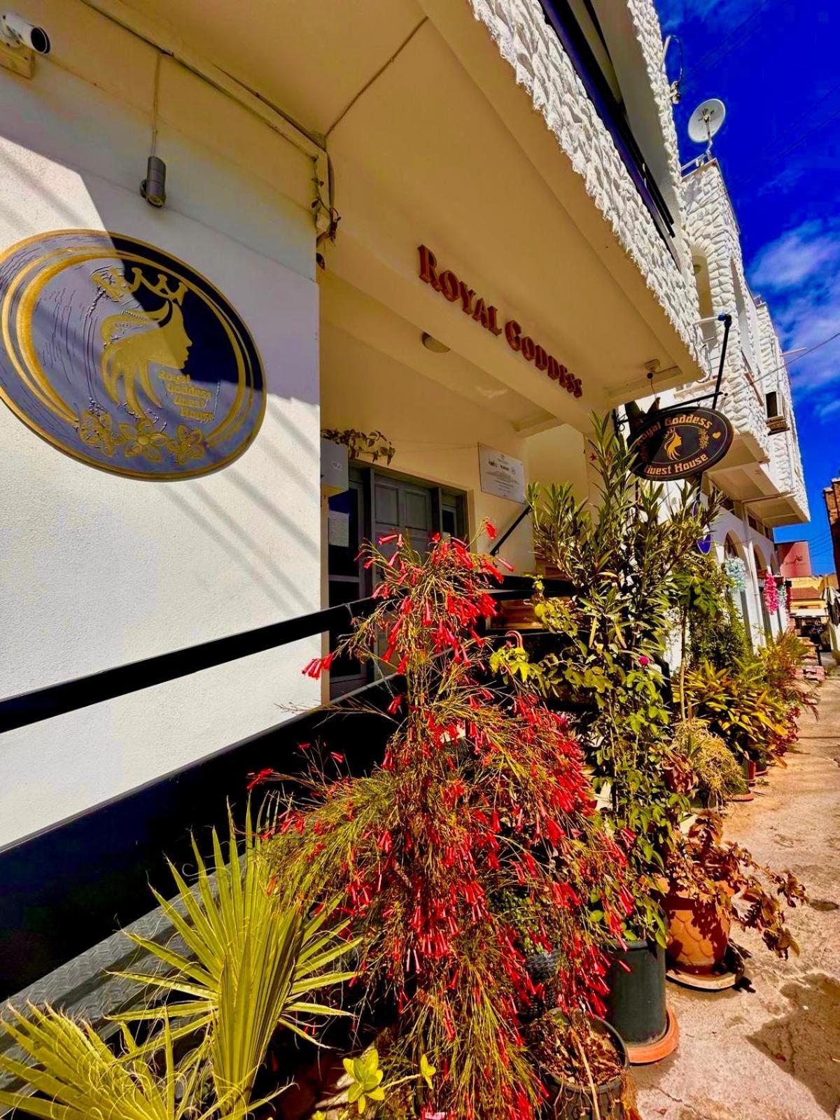 Royal Goddess Guest House, Walled City ファマグスタ エクステリア 写真